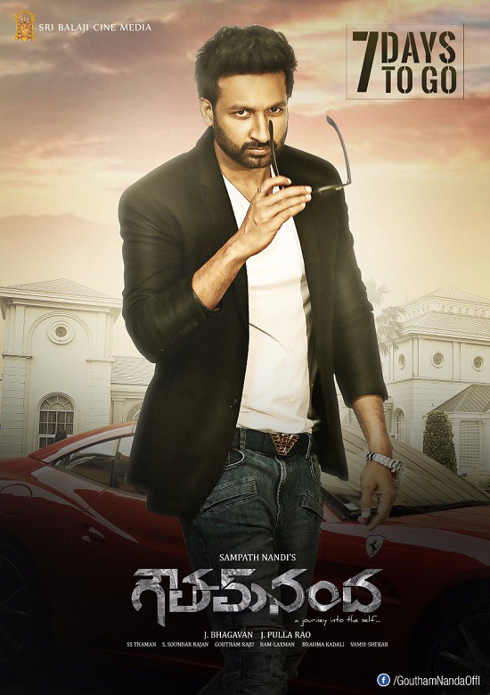 Goutham Nanda 2017 Hindi Dual Audio 1080p 720p 480p UNCUT HDRip ESubs